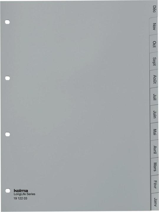 Actual product image Kolma Register A4 superstrong Déc-Jan (fr) 12-piece grey