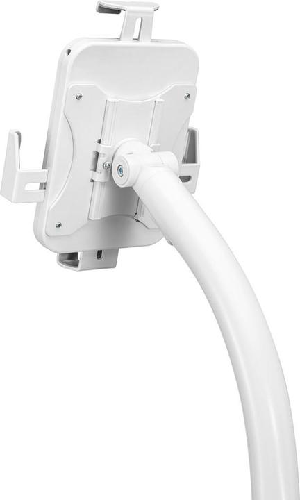 Image du produit Maclean Tablet advertising holder MC-467W