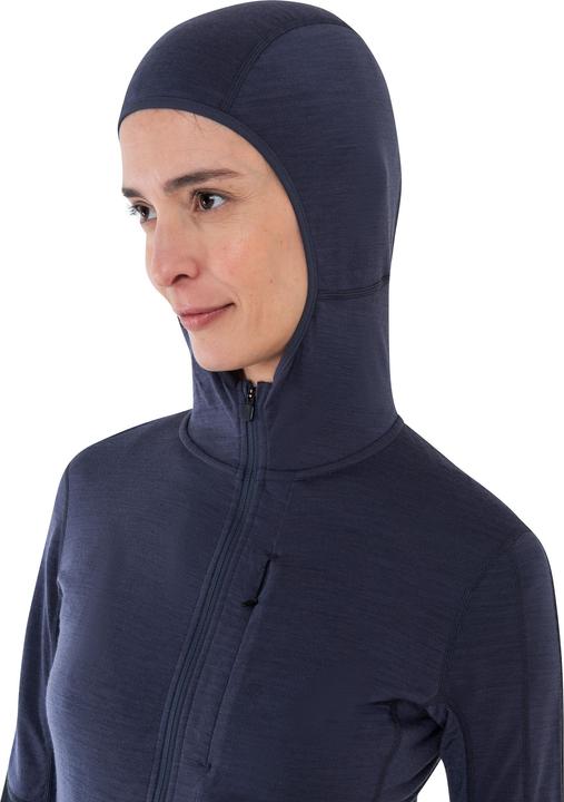 Actual product image Icebreaker 200 Realfleece Descender Hoodie (XS)