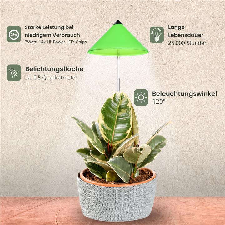 Produktbild Colibri Sunlite (LED, 230 V)