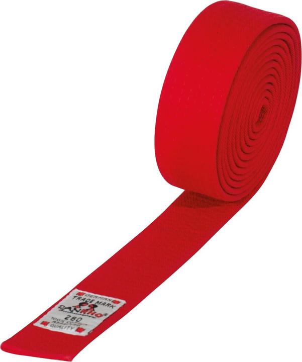 Actual product image Danrho Judo/ju-jutsu belt
