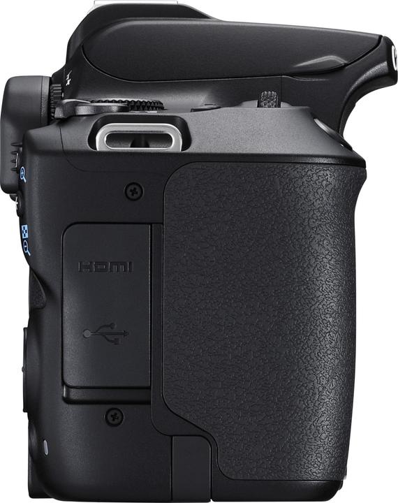 Actual product image Canon EOS 250D (24.10 Mpx, APS-C / DX)