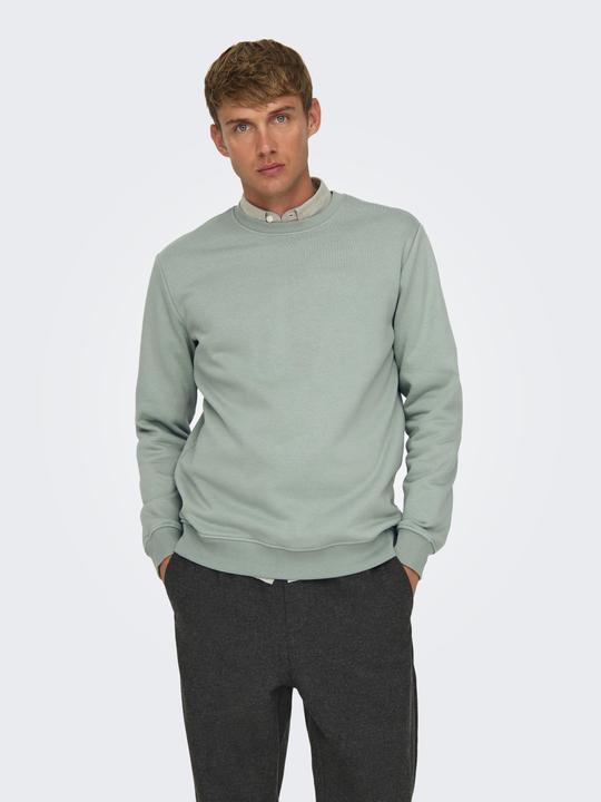 Produktbild Only & Sons Onsconnor Reg Crew Neck Sweat Noos (XS)