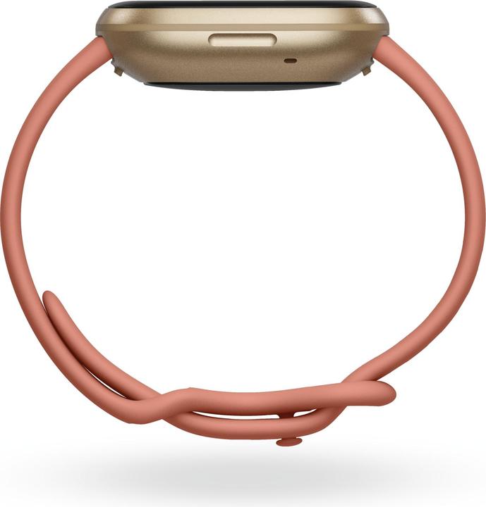 Immagine prodotto Fitbit Versa 3 (40.48 mm)