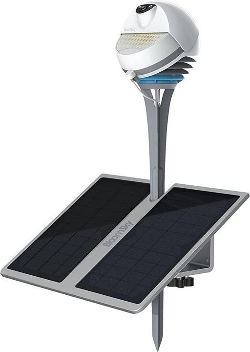 Actual product image BloomSky 1 per pack
