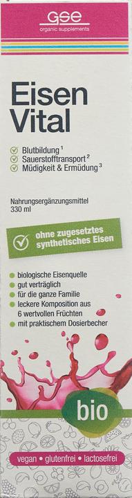 Image du produit GSE Fer Vital Complexe bio liq (1 pièce(s), Liquide, 592 g)