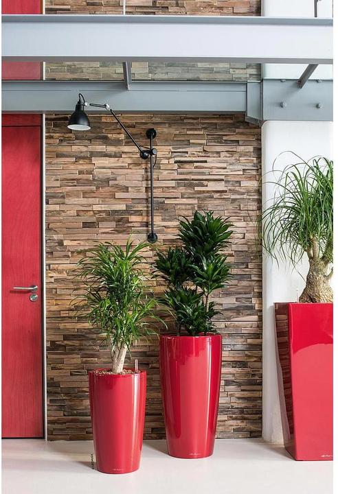 Actual product image Lechuza Planter Rondo Premium 32 (33 cm)