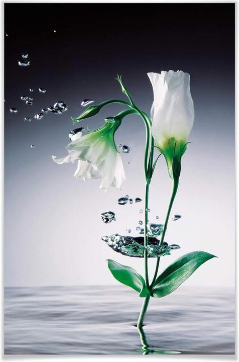 Immagine prodotto Wizard + Genius Fiori di cristallo (115 x 175 cm)