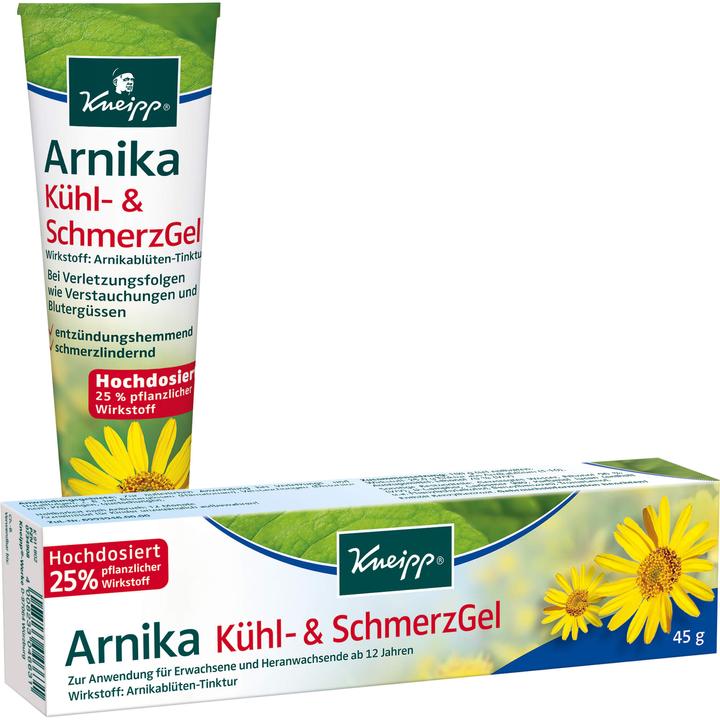 Arnika Kühl- & SchmerzGel, 100 g Gel (1 x)