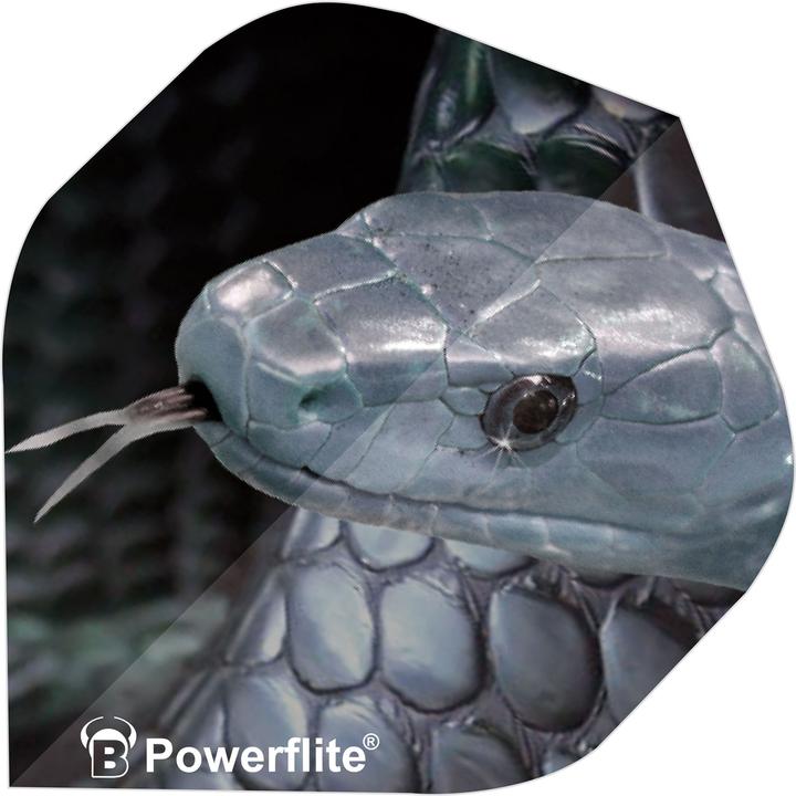 Produktbild Bull's Powerflite Standard A-Shape