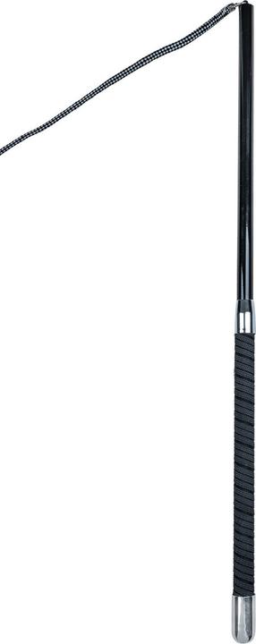 Waldhausen Longierpeitsche Superleicht 4-teilig (200 cm)