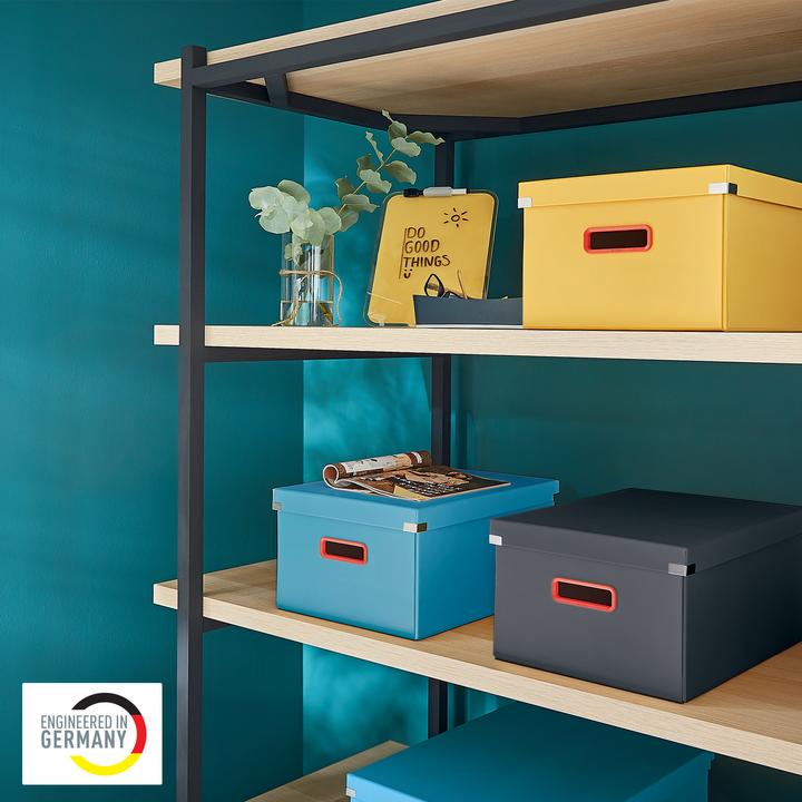Immagine prodotto Leitz CLICK & STORE COSY - Scatola media (A4)