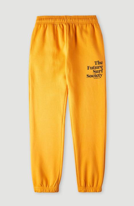O'Neill Future Surf Jogger Pants (140)