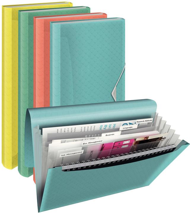 Actual product image Esselte Project folder (A4, 1 x)