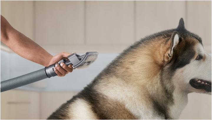 Image du produit Dyson Haustierpflegeset