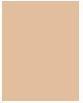 Actual product image Dermacol 24h Control (1)