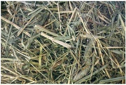 Produktbild MGA Nagetierfutter, Wiese Heu, 600 g (0.60 kg)