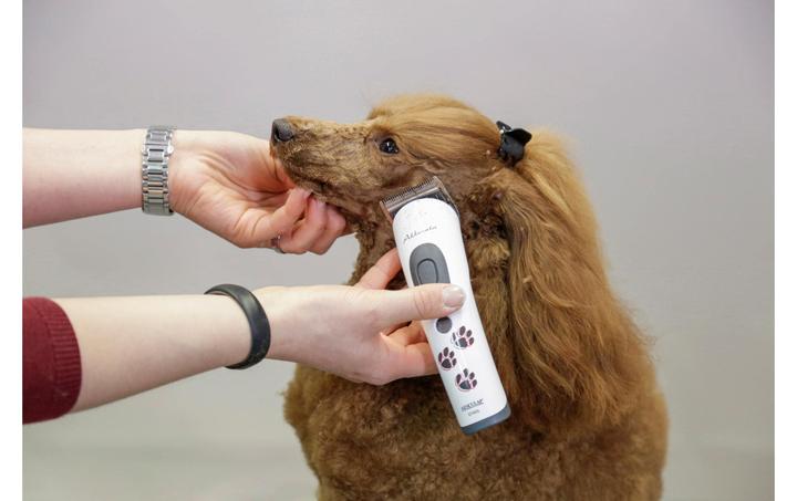 Produktbild Kerbl Akkurata (Hund)