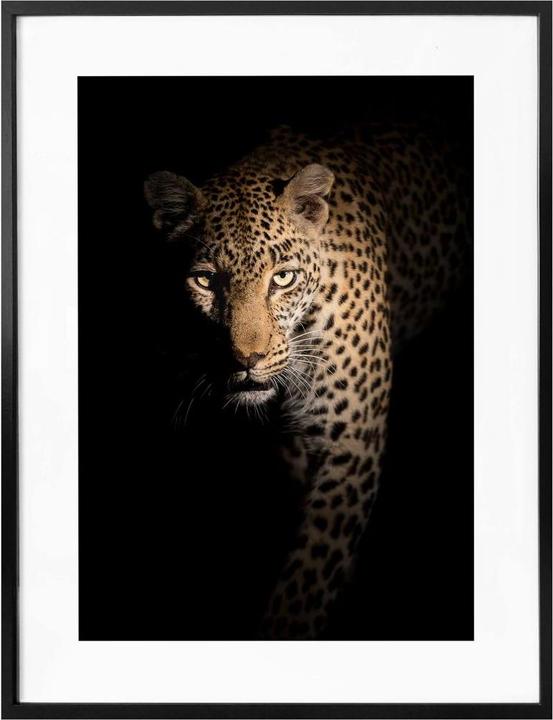 Produktbild Trenddeko Der Leopard (30 x 40 cm)