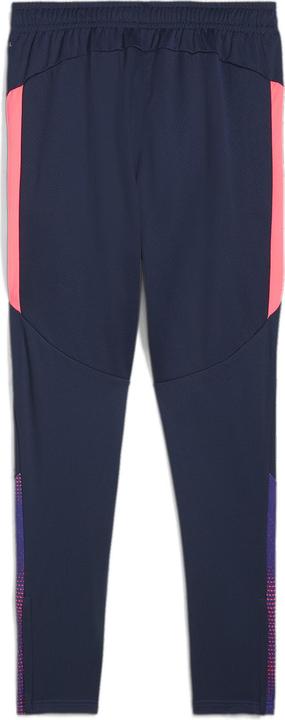 Actual product image Puma individualFINAL Training Pants (M)