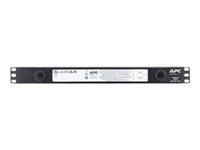 Produktbild APC NetBotz Rack Monitor 250