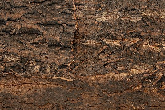 Produktbild Repti Planet Kork-Rück Wand 19 x 27.3 x 2 cm