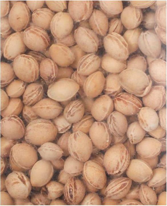 Actual product image I Am Creative Cherry stones