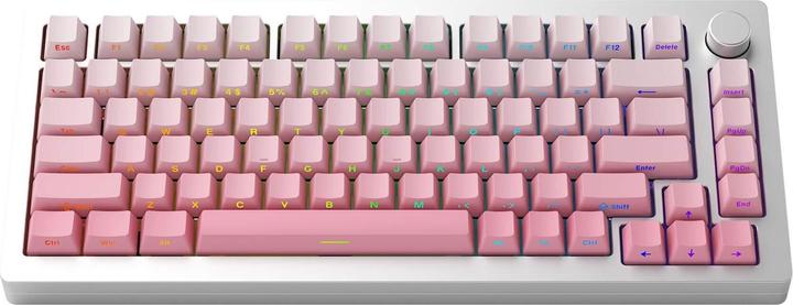 Actual product image Akko MonsGeek M1W (US, Wireless, Cable)