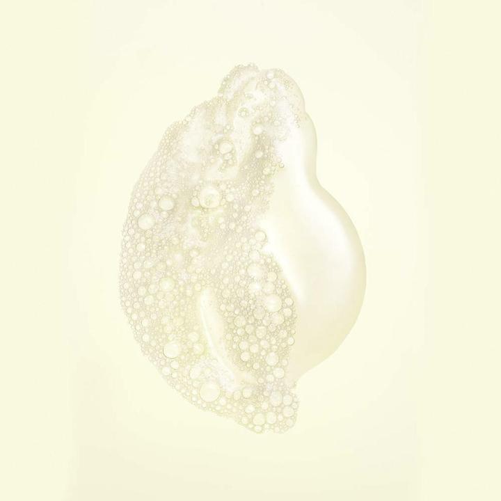 Immagine prodotto Oribe Alchimia dei Capelli Shampoo Resilienza (200 ml, Shampoo liquido)