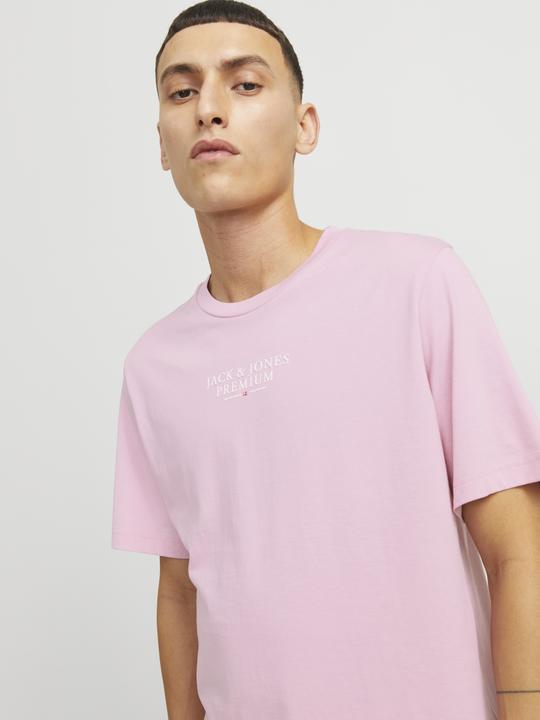 Image du produit Jack & Jones Jprbluarchie Ss Tee Crew Neck Noos (L)