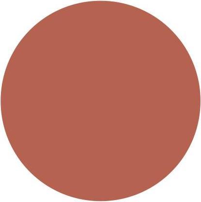 Actual product image Barry M Fresh Face Cheek & Lip Tint (Caramel Kisses)