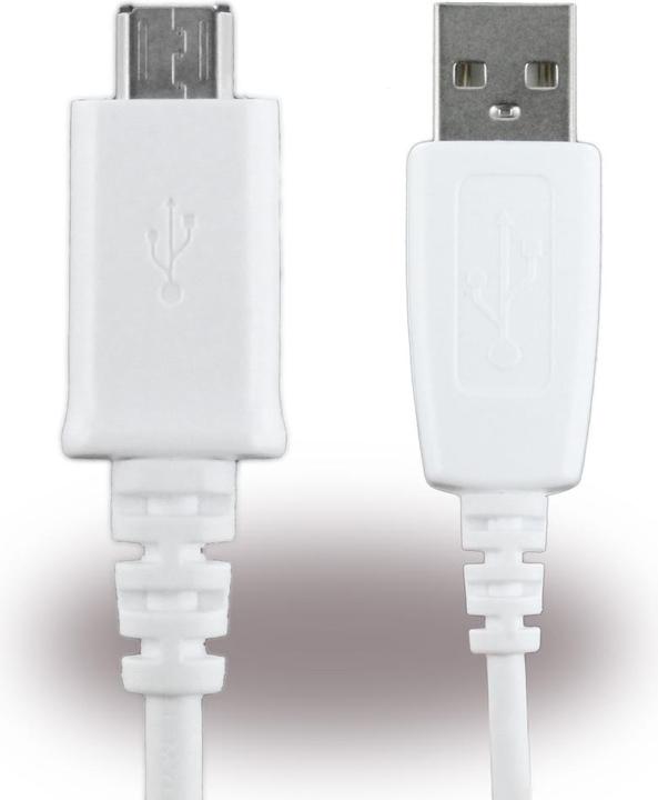 Actual product image Samsung ECB-DU4AWE (1 m, USB 2.0)