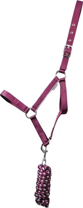 Immagine prodotto Hy Set di cavezza e guinzaglio per cavalli Synergy