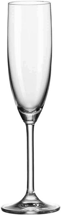 Leonardo Wein- und Sektgläser Daily (18 cl, 36 Gläser, Weissweingläser)