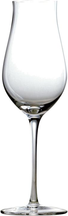 Produktbild Stölzle Portweingläser mundgeblasen Q1 (18 cl, 6 Gläser, Rotweingläser)