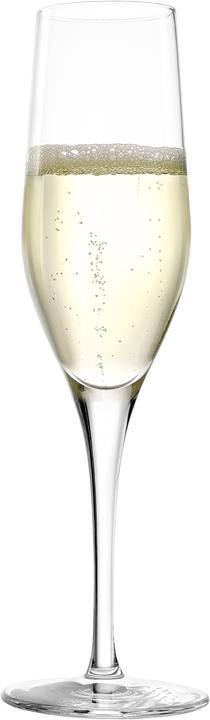 Actual product image Stölzle Champagne Tasting Glasses Exquisite (26.50 cl, 18 Glasses, Champagne glasses)