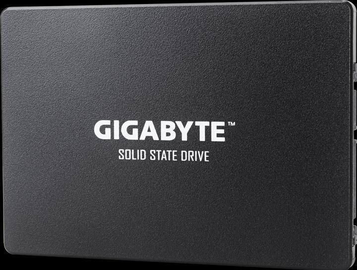 Image du produit Gigabyte GP-GSTFS31256GTND (256 Go, 2.5")