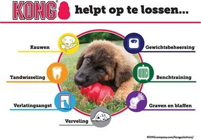 Image du produit KONG Chiot (Jouet pour chiot)