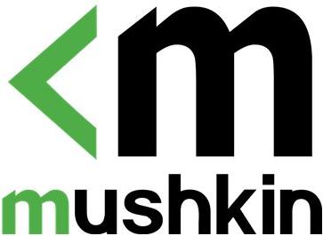Actual product image Mushkin SSD Element M.2 512GB PCIe Gen3x4 NVME (512 GB, M.2 2280)