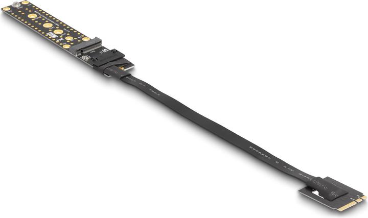 Actual product image Delock Riser card NVMe M.2 Key A+E plug to Key M slot with 20 cm cable