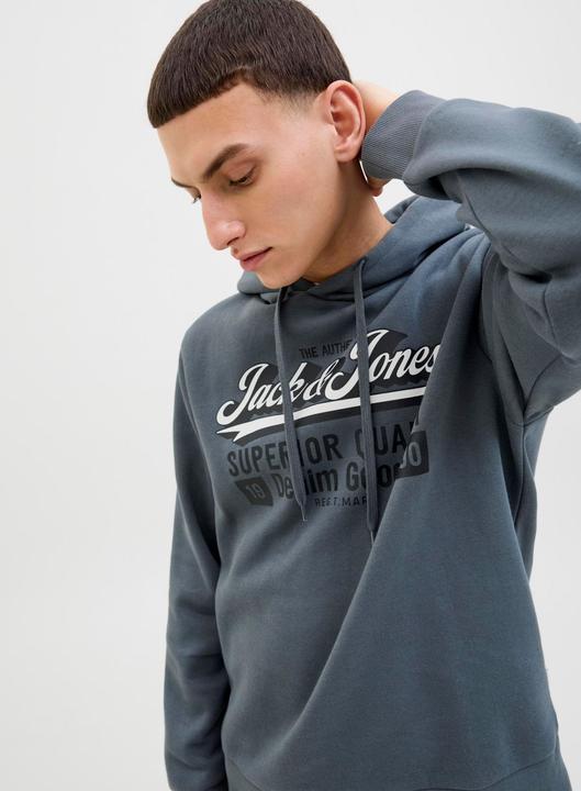 Immagine prodotto Jack & Jones JJELOGO SWEAT HOOD 2 COL 25/26 NOOS (L)