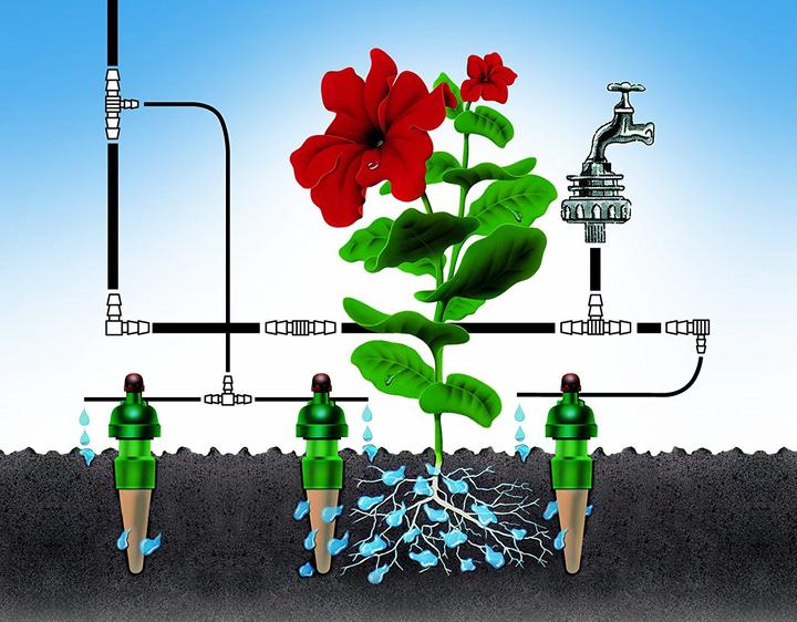Actual product image Blumat Drip set 10m (Drip irrigation set)