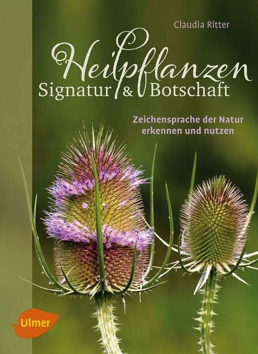Produktbild Heilpflanzen. Signatur und Botschaft (Deutsch, Claudia Ritter, 2016)