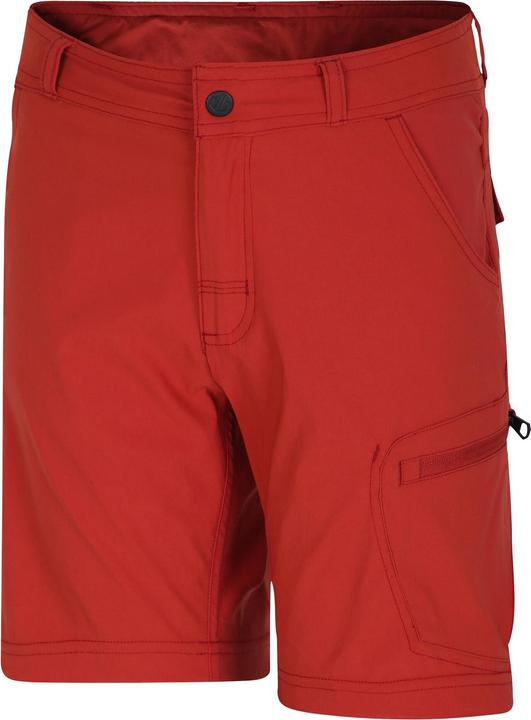 Actual product image Dare2b Childrens/Kids Reprise II Shorts (170)