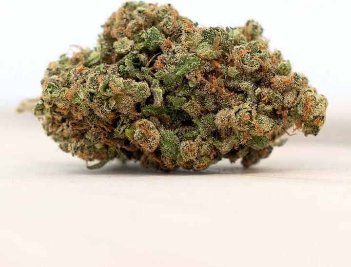 Produktbild Herba di Berna Harlequin Indoor (10 g, Indoor)