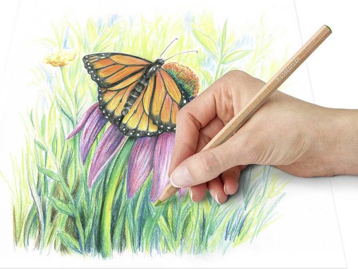 Actual product image Staedtler pastel 146P Pastel Pencils (12 pastel colours, 12 x)