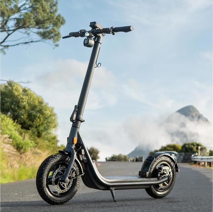 Produktbild Egret X (20 km/h, 60 km, 500 W)