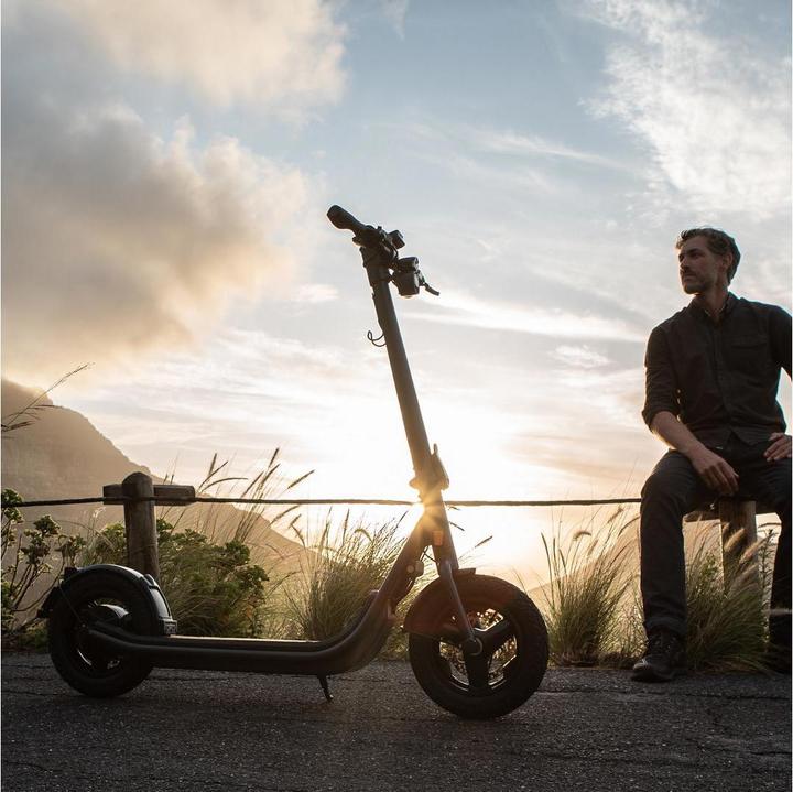 Produktbild Egret X (20 km/h, 60 km, 500 W)