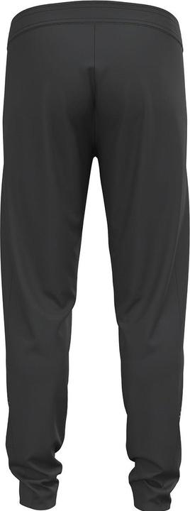 Actual product image Odlo Zeroweight pants (M)
