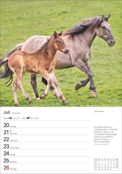 Image du produit Harenberg Pferde Wochenplaner 2026 - 53 faszinierende Fotografien (Allemand)